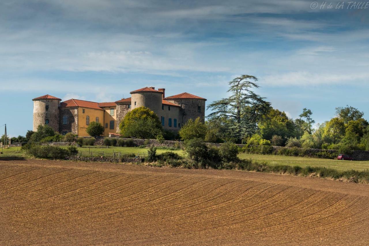 Château Des Grèzes *